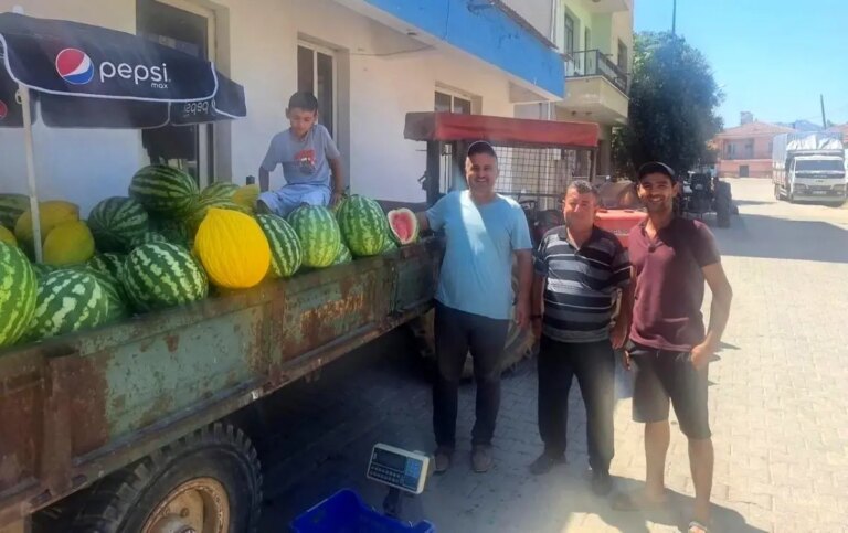 sarigolde ata tohumu ile taze satis yjT1A31h