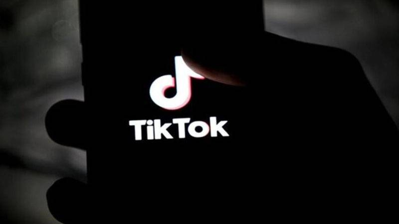 kanada tiktok ulkedeki cok sayida cocugun hassas verilerini topluyor y9HMu5UC