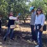 tekirdagda hasat oncesi pestisit denetimleri i8VvXW71