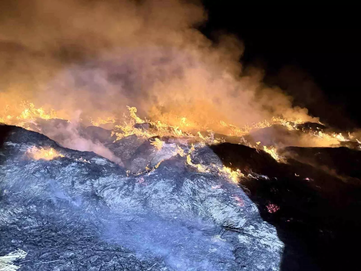 afyonkarahisarda yangin eber golunden toplanan kamislarin depolari alev aldi hbH5prCW