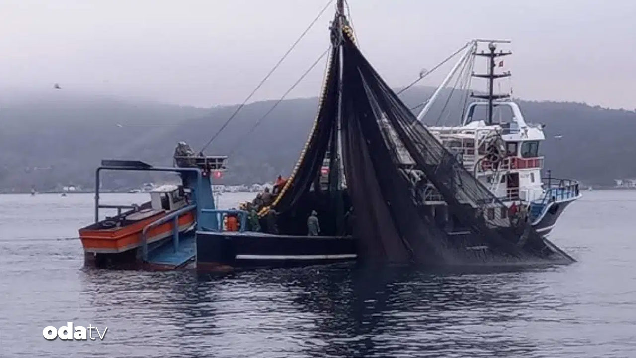 girgir tekneleri bogazi sardi balik soykirimi dLjnf9n4.jpg