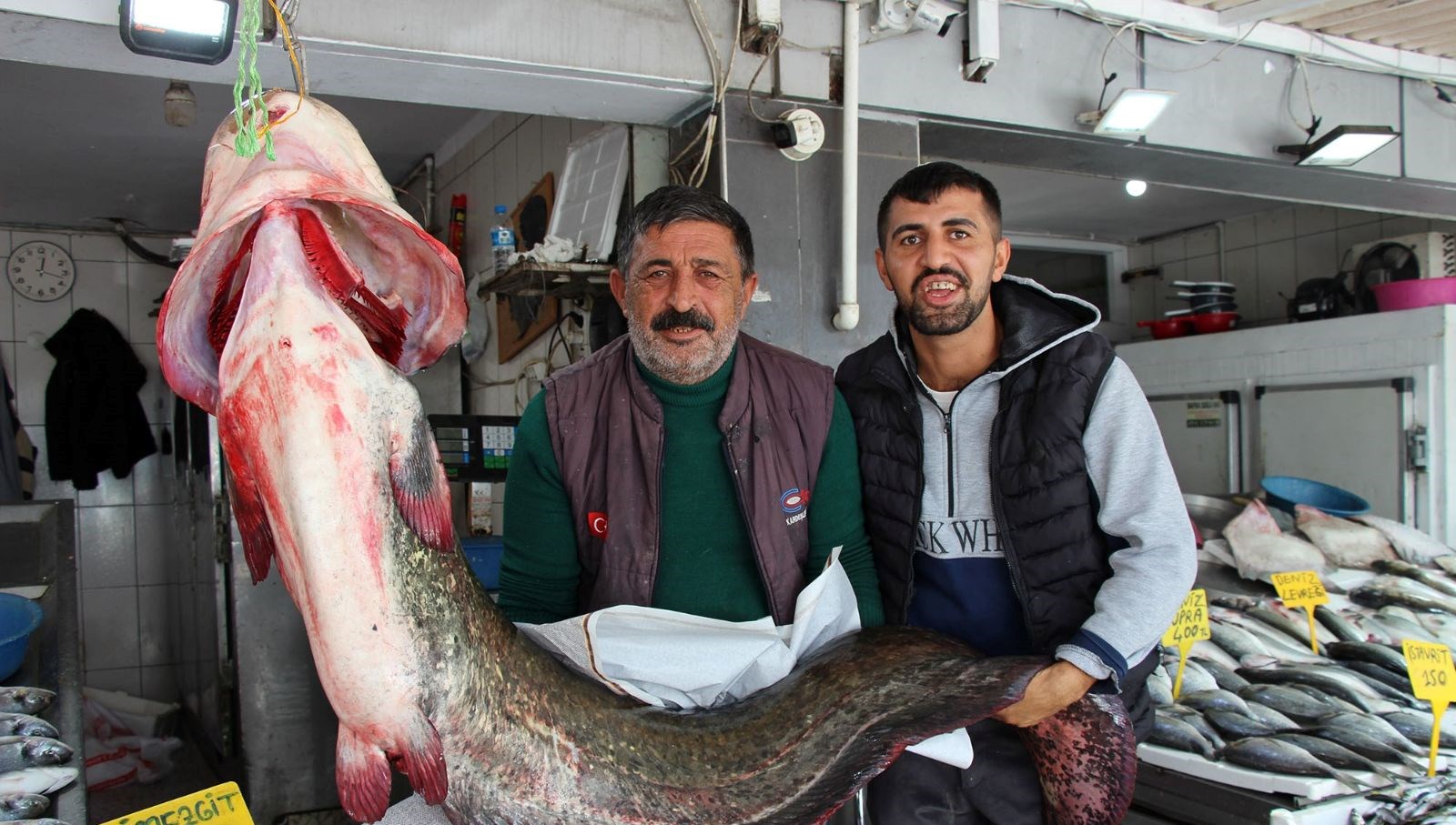 kilosu 250 liradan satisa sunuldu tam 85 kilogram agirliginda HHlrhjE8