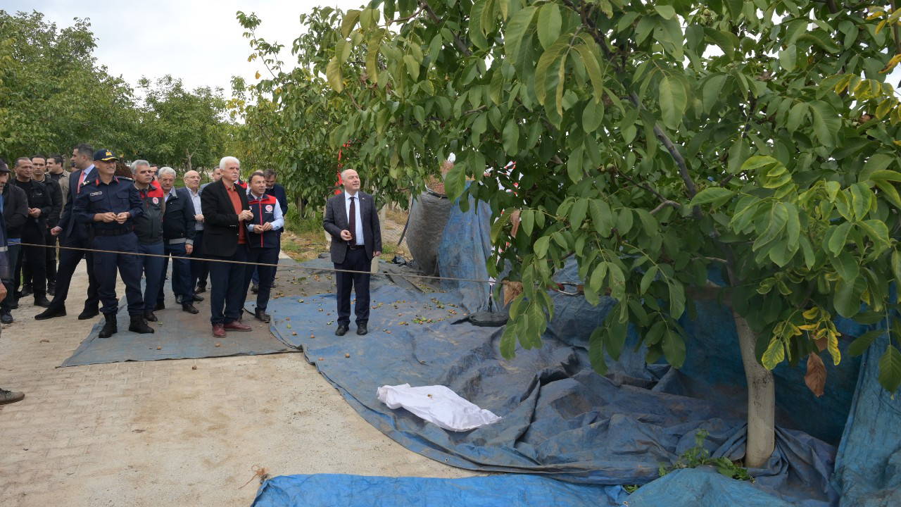 sezonun ilk hasadi tavasta yapildi KfrOgRW6.jpg