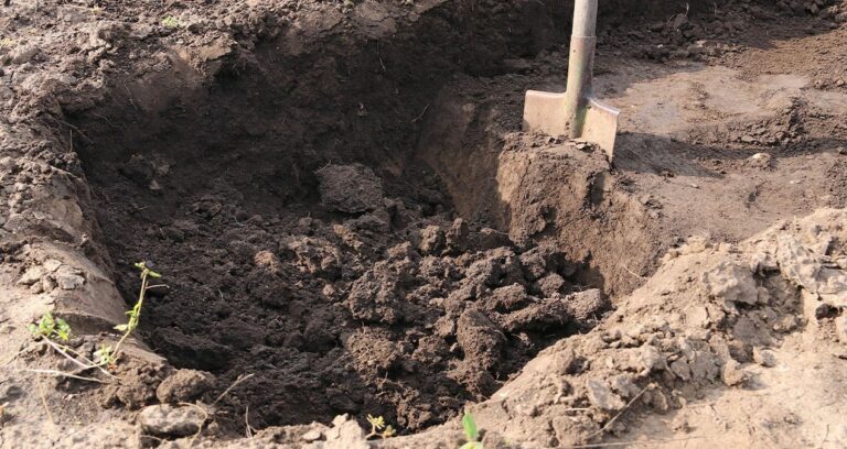 bahcesini kazarken hayati degisti posetleri actikca milyoner oldu qMbBGszb.jpg