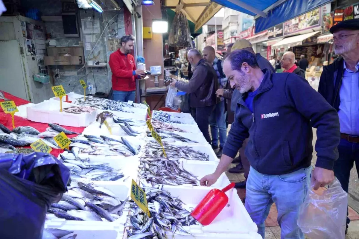 samsunda hamsi fiyatlari duserken balikcilarin ilgisi azaliyor lXZGWmE8.jpg