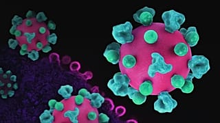 Japonya'daki virüs keşfi