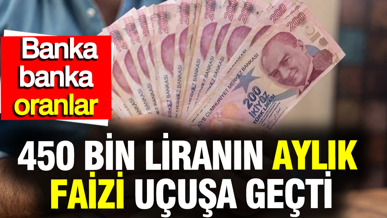 450 Bin Liranın Aylık Faiz Oranları: Hangi Banka Ne Kadar Kazandırıyor?