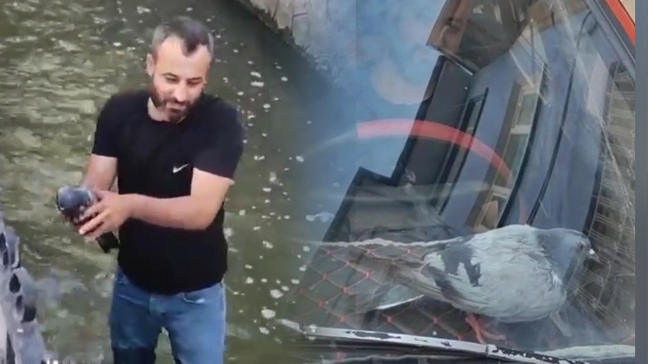 Su kanalindan kurtardi ismini boncuk koydu BdpcZHm4
